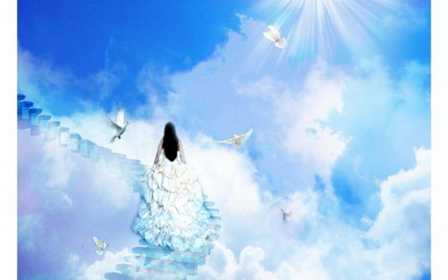 Woman sitting stair sky birds free wallpaper for desktop - medium preview image