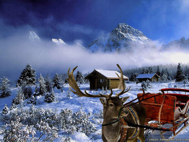 Reindeer pulling sleigh cabin background free wallpaper for desktop - medium preview image