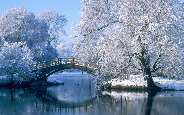 Bridge river snow trees small #2 free wallpaper for desktop - medium preview image