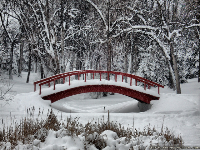 Red bridge snowy park pond free wallpaper for desktop - medium preview image