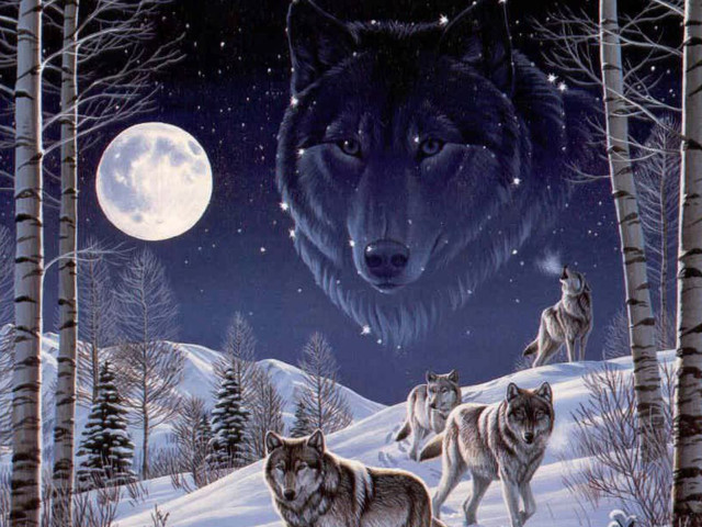 Three wolves snow full moon free wallpaper for desktop - medium preview image
