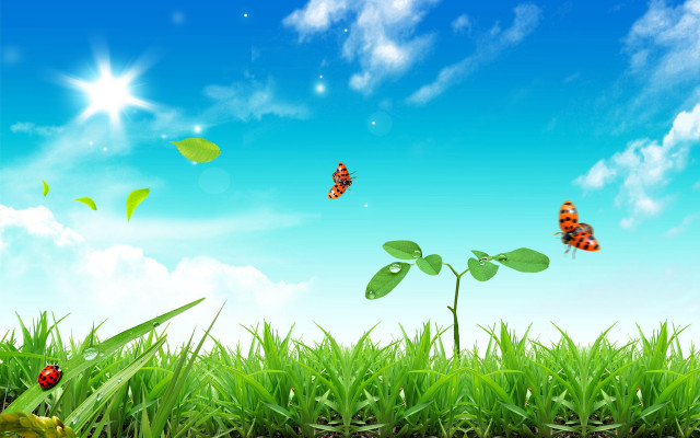Field grass butterflies blue sky #2 free wallpaper for desktop - medium preview image