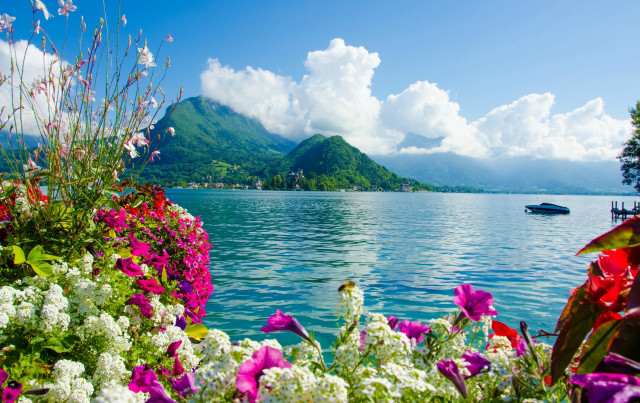 Boat lake flowers mountain blue free wallpaper for desktop - medium preview image