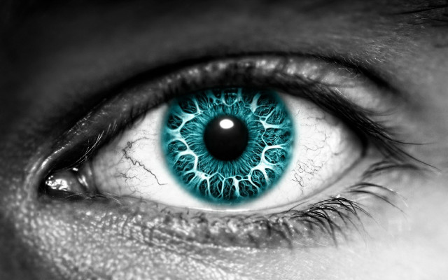 Close up person eye blue #3 free wallpaper for desktop - medium preview image
