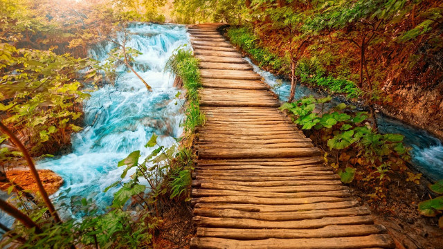 Wooden path waterfall woods blue free wallpaper for desktop - medium preview image