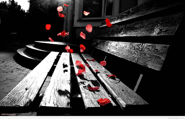 Wooden bench red flowers light free wallpaper for desktop - medium preview image