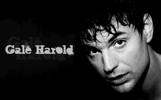 Man shirt staring camera black free wallpaper for desktop - medium preview image