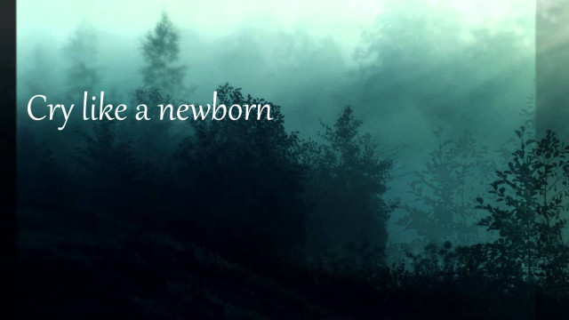 Forest quote cry newborn foggy free wallpaper for desktop - medium preview image