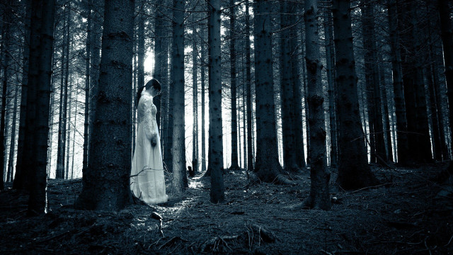 Woman white dress forest trees #5 free wallpaper for desktop - medium preview image
