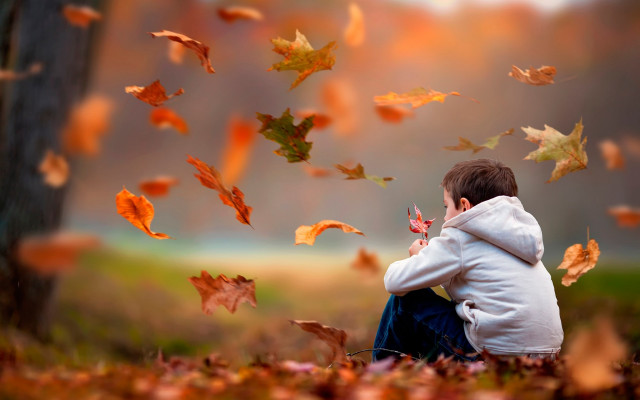 Young boy field leaves falling free wallpaper for desktop - medium preview image