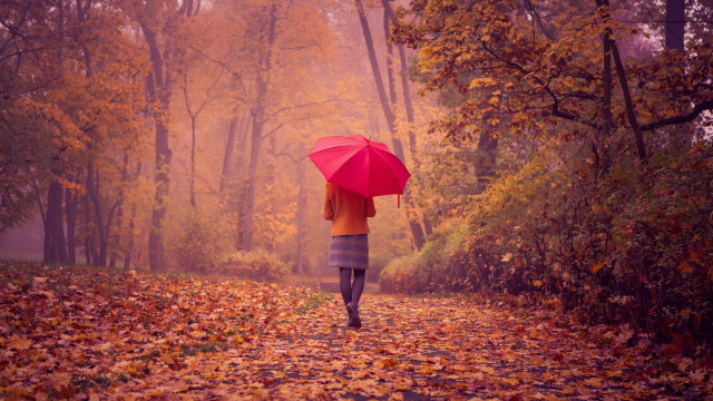Woman walking leaf covered path free wallpaper for desktop - medium preview image