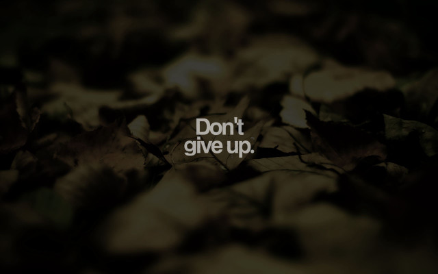 Dont give up black white free wallpaper for desktop - medium preview image
