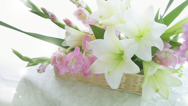 Basket flowers table white background free wallpaper for desktop - medium preview image