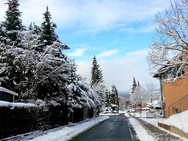 Snowy street trees building winter free wallpaper for desktop - medium preview image
