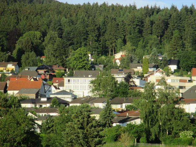 Small town trees hill houses free wallpaper for desktop - medium preview image