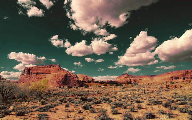 Desert clouds bushes foreground scenery free wallpaper for desktop - medium preview image