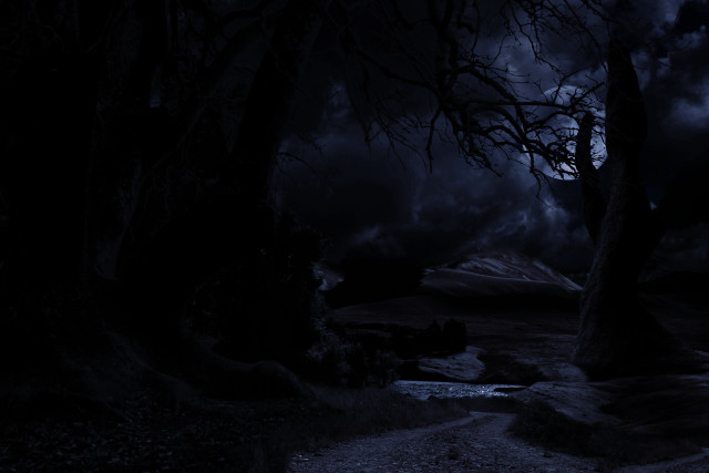 Dark forest path lake night free wallpaper for desktop - medium preview image