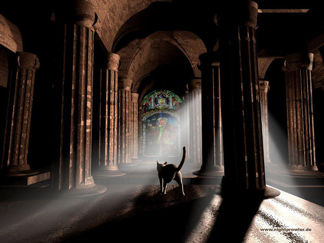 Cat walking dark tunnel columns free wallpaper for desktop - medium preview image