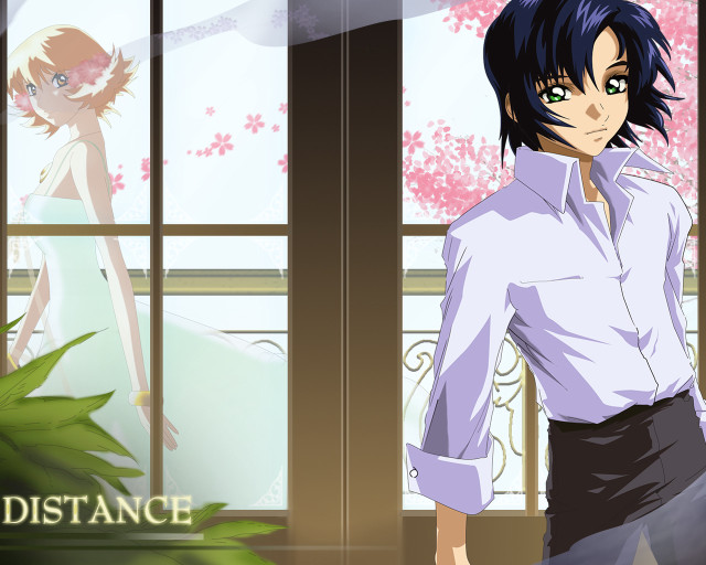 Man dress shirt skirt window free wallpaper for desktop - medium preview image