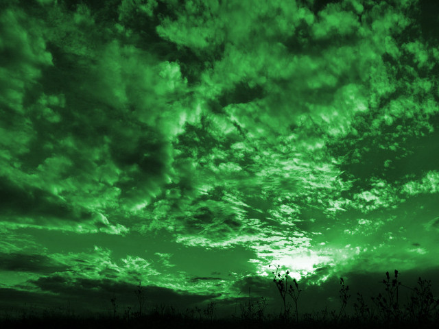 Green sky clouds trees foreground free wallpaper for desktop - medium preview image