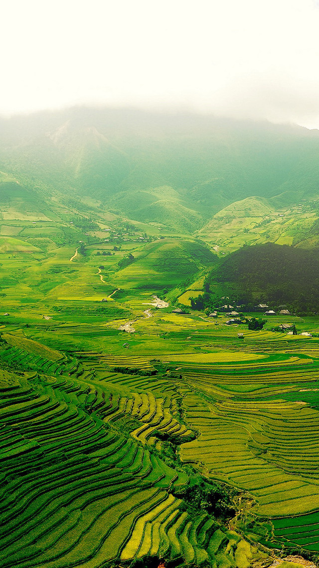 Green valley trees mountains cloudy free wallpaper for mobile - medium preview image
