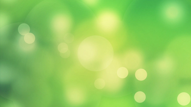 Blurry green background tree leaves free wallpaper for desktop - medium preview image