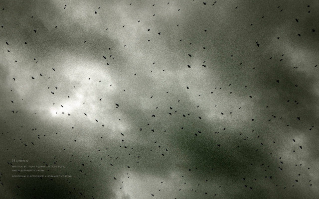 Flock birds flying cloudy sky free wallpaper for desktop - medium preview image