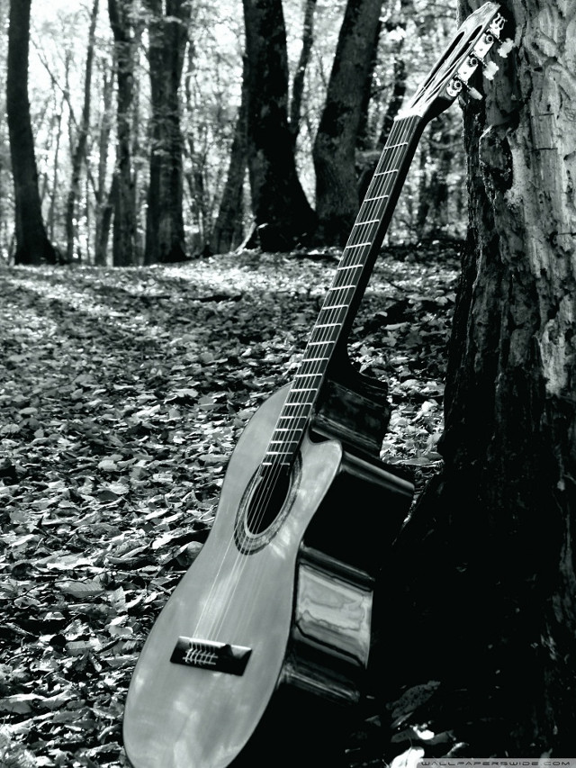 Guitar leaning tree forest black free wallpaper for mobile - medium preview image