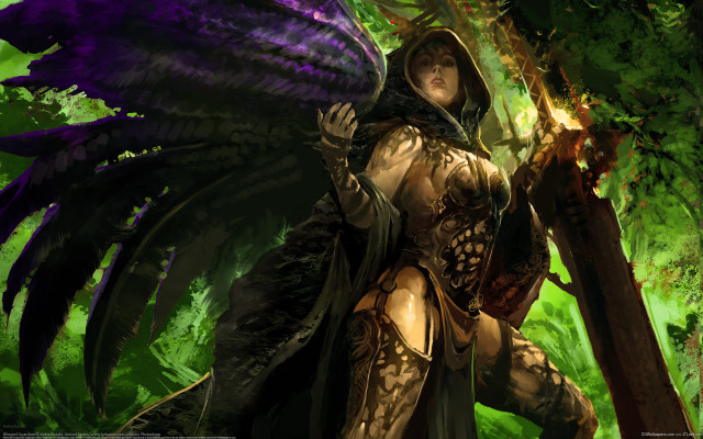 Woman costume wings hood sword free wallpaper for desktop - medium preview image