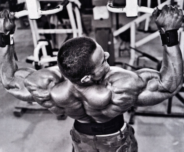 Man large back big chest free wallpaper for desktop - medium preview image