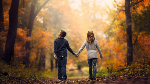 Couple holding hands autumn woods free wallpaper for desktop - medium preview image