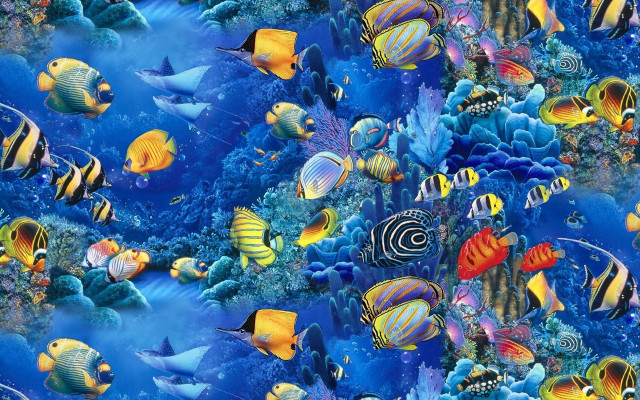 Fish swimming ocean coral reef #8 free wallpaper for desktop - medium preview image