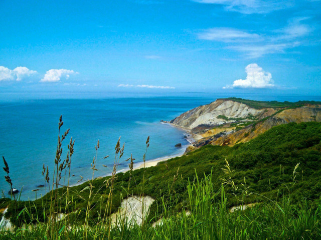 Beach water hilltop grass view free wallpaper for desktop - medium preview image