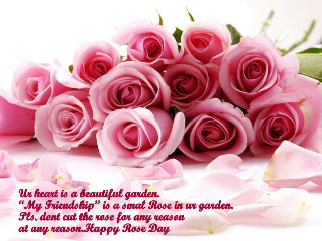 Pink roses valentine bouquet engrish free wallpaper for desktop - medium preview image