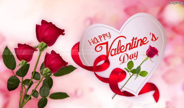 Heart shaped box rose ribbon free wallpaper for desktop - medium preview image