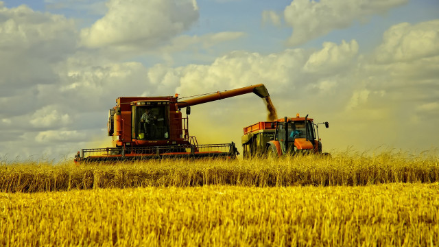 Combine harvesters wheat field blue free wallpaper for desktop - medium preview image