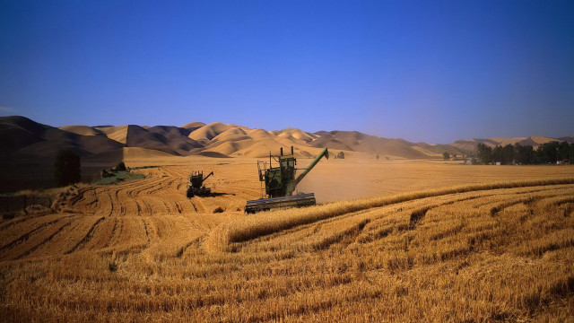 Combine wheat field mountains blue free wallpaper for desktop - medium preview image