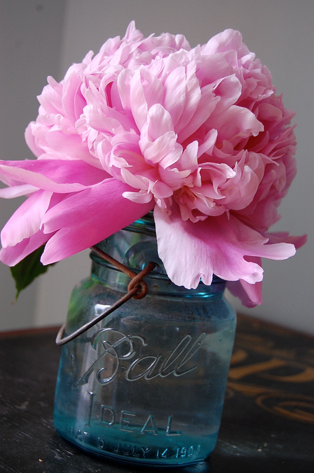 Pink flower mason jar table free wallpaper for mobile - medium preview image