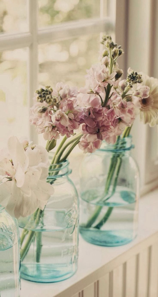 Three vases flowers window sill free wallpaper for mobile - medium preview image