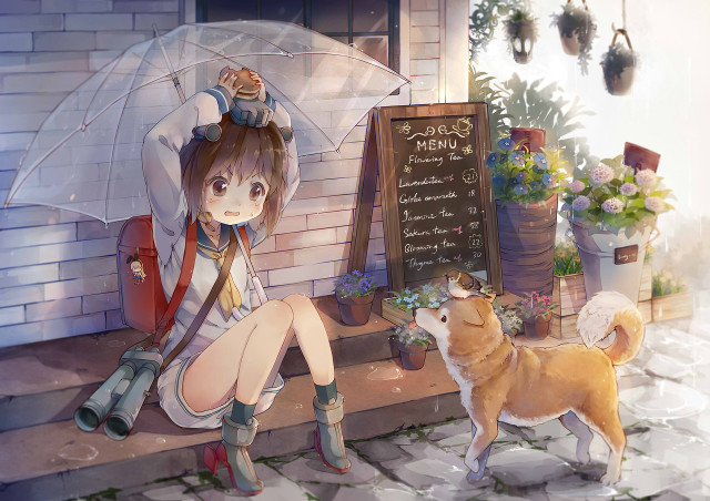 Girl sitting ledged umbrella dog free wallpaper for desktop - medium preview image