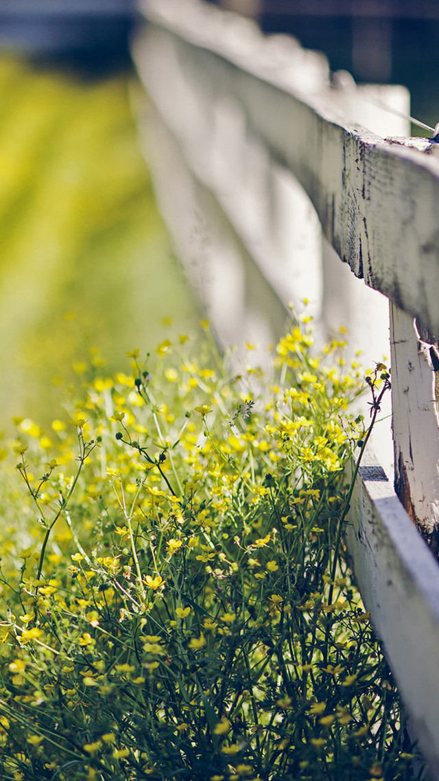 Bench flowers grass field background free wallpaper for mobile - medium preview image