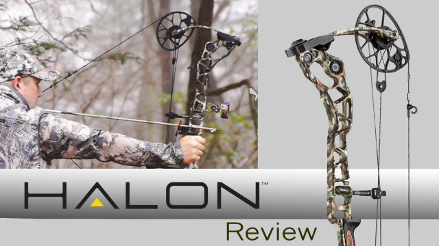 Man holding bow arrow forest #2 free wallpaper for desktop - medium preview image