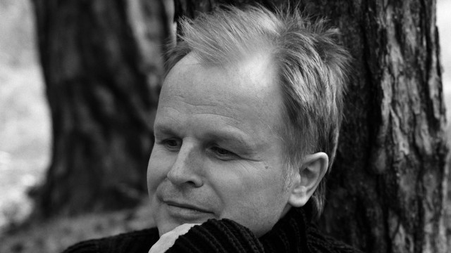 Man tie forest tree trunk free wallpaper for desktop - medium preview image