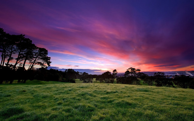 Sunset field trees foreground nature free wallpaper for desktop - medium preview image
