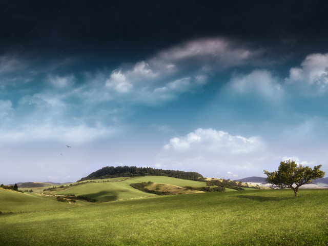 Green field tree hill clouds free wallpaper for desktop - medium preview image