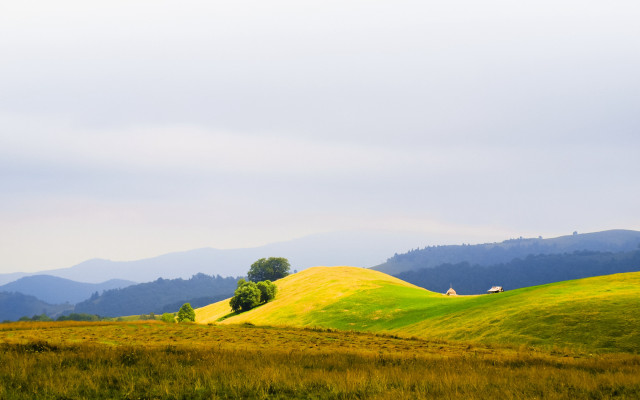 Grassy hill trees mountains background free wallpaper for desktop - medium preview image