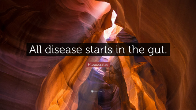 Disease gut canyon lightrock inspirational free wallpaper for desktop - medium preview image
