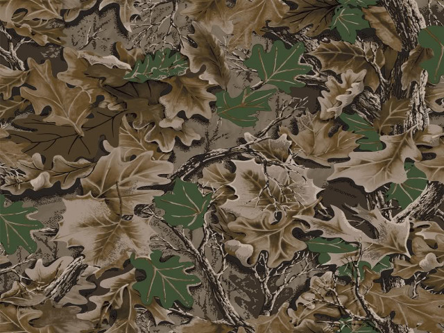 Camouflage background leaves branches brown free wallpaper for desktop - medium preview image
