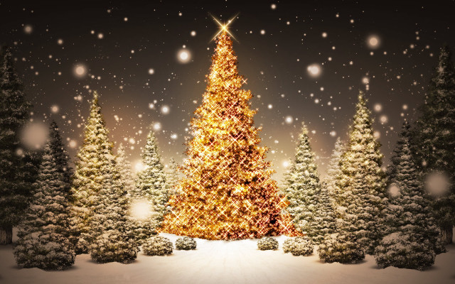 Christmas tree snow falling lit free wallpaper for desktop - medium preview image