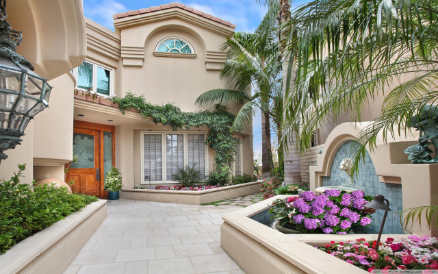 House plants flowers yard light #2 free wallpaper for desktop - medium preview image